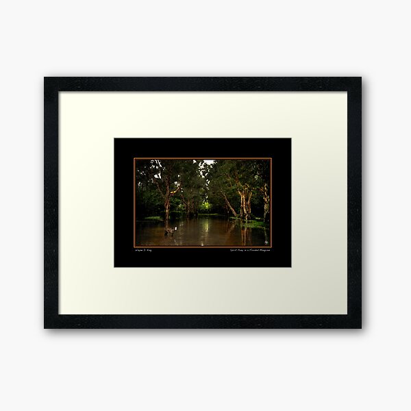 Item preview, Spirit Pony in a Flooded Mangrove Poster designed and sold by Wayne King.