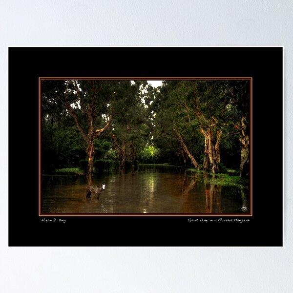 Item preview, Spirit Pony in a Flooded Mangrove Poster designed and sold by Wayne King.