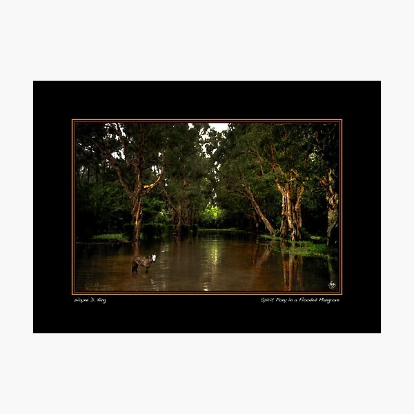 Item preview, Spirit Pony in a Flooded Mangrove Poster designed and sold by Wayne King.
