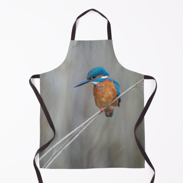 Item preview, Common Kingfisher designed and sold by Steve Liptrot Photography.