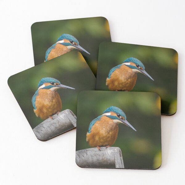 Item preview, The Common Kingfisher designed and sold by Steve Liptrot Photography.