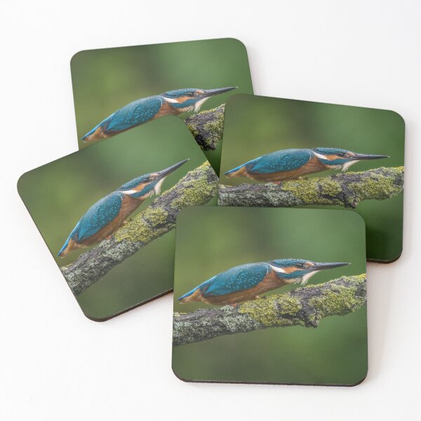 Item preview, The Common Kingfisher designed and sold by Steve Liptrot Photography.