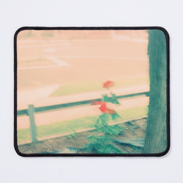 Item preview, Warwick rose on 35mm expired film photography designed and sold by Dominique Tassell.