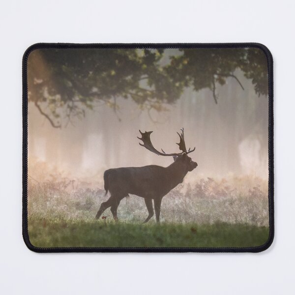 Item preview, Fallow deer designed and sold by Steve Liptrot Photography.