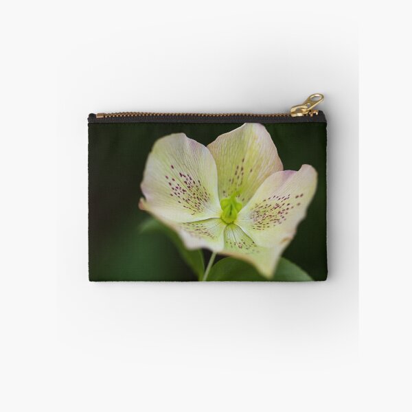Item preview, Green Hellebores designed and sold by Joy Watson - Natural Light Photography .