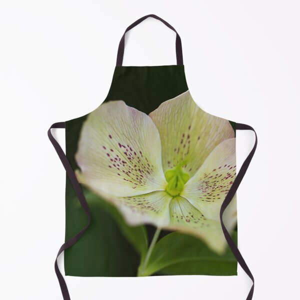 Item preview, Green Hellebores designed and sold by Joy Watson - Natural Light Photography .