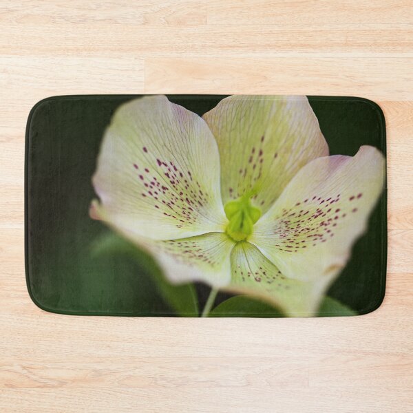 Item preview, Green Hellebores designed and sold by Joy Watson - Natural Light Photography .