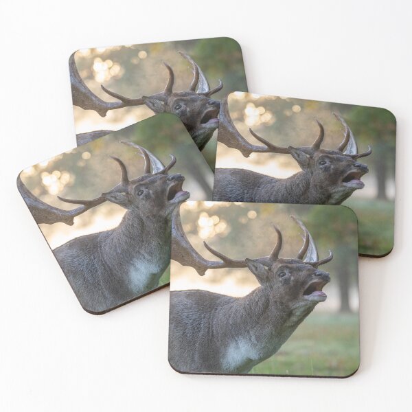 Item preview, Fallow deer designed and sold by Steve Liptrot Photography.