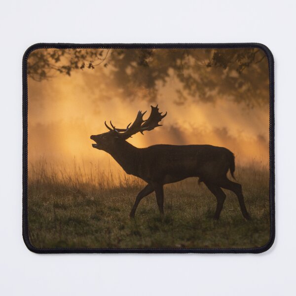 Item preview, Fallow deer designed and sold by Steve Liptrot Photography.