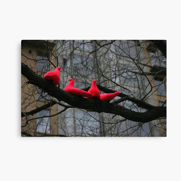 Pink Doves Canvas Print