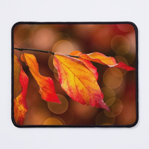 Item preview, Colourful Autumn Leaves designed and sold by Alisonchambers2.