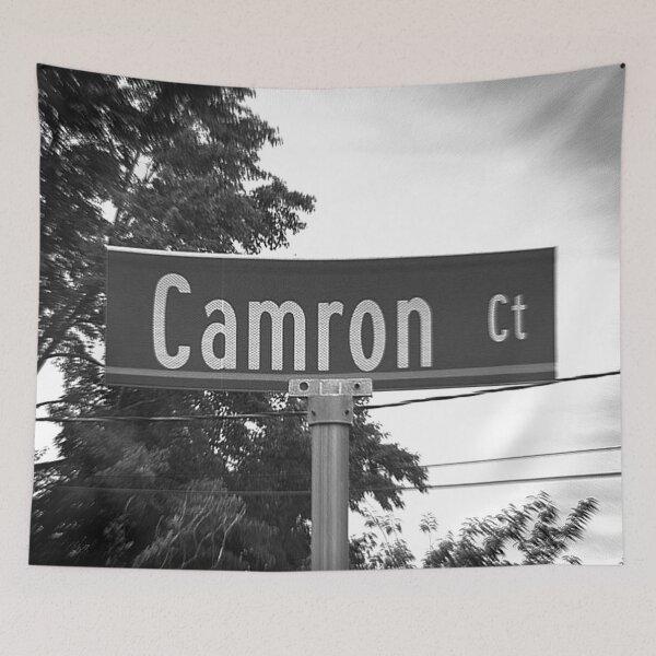 Item preview, A Street Sign Named Camron designed and sold by jcwest.