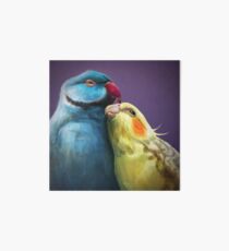 Birbs Art Board
