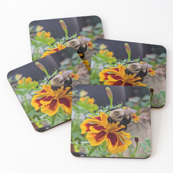 Artikelvorschau, Hummel auf einer Ringelblume entworfen und verkauft von arfff.