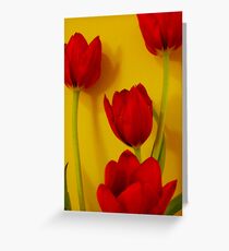Red Greeting Card
