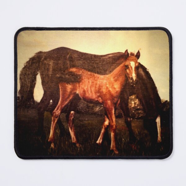 Item preview, MOTHE AND FOAL designed and sold by Mackenzie Moulton International Artist .