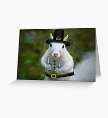 Dress Whites for Thanksgiving Greeting Card