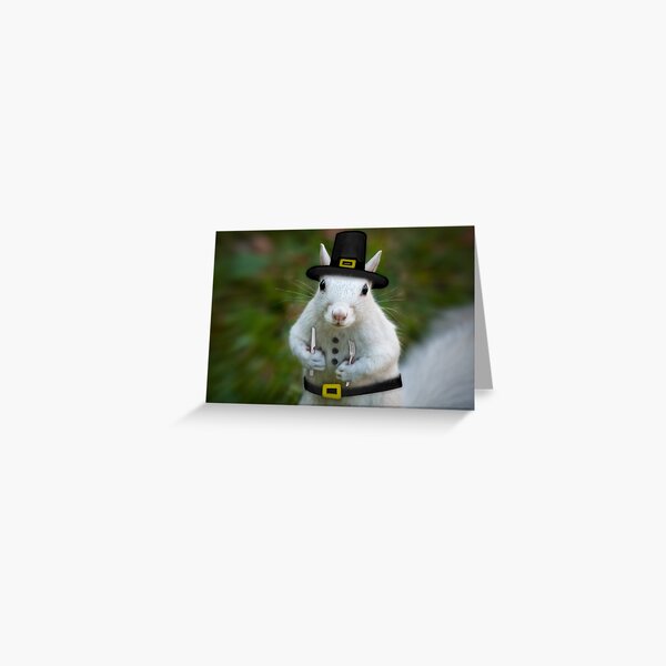 Dress Whites for Thanksgiving Greeting Card
