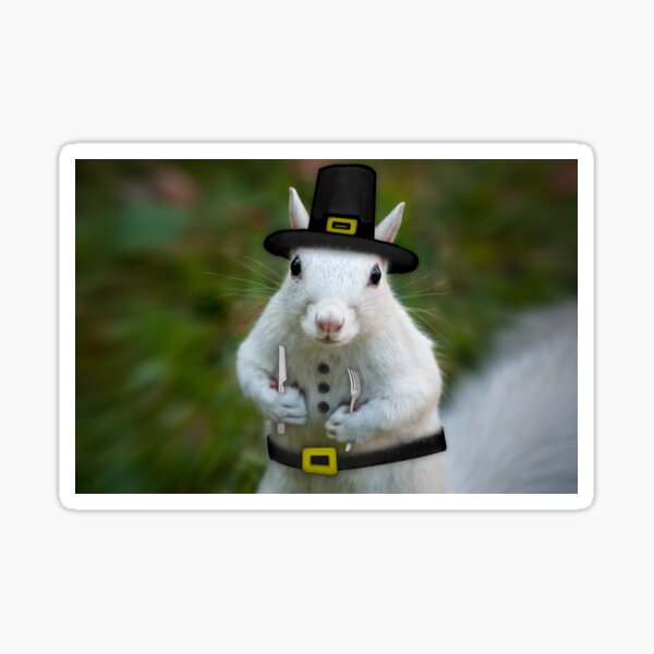 Dress Whites for Thanksgiving Sticker
