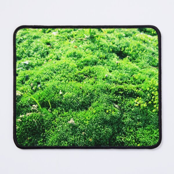 Item preview, Magical world of moss | moss close up photography designed and sold by lausn.