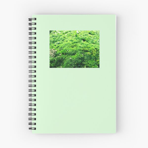 Item preview, Magical world of moss | moss close up photography designed and sold by lausn.