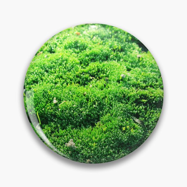 Item preview, Magical world of moss | moss close up photography designed and sold by lausn.