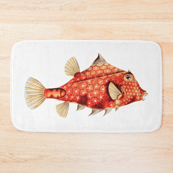 Item preview, Tetrosomus Gibbosus designed and sold by Ephemerae.