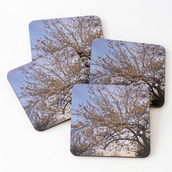 Item preview, Spring flowers pictures, peach colors designed and sold by marghe41.