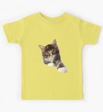 Kitten Kids Tee