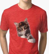 Kitten Tri-blend T-Shirt