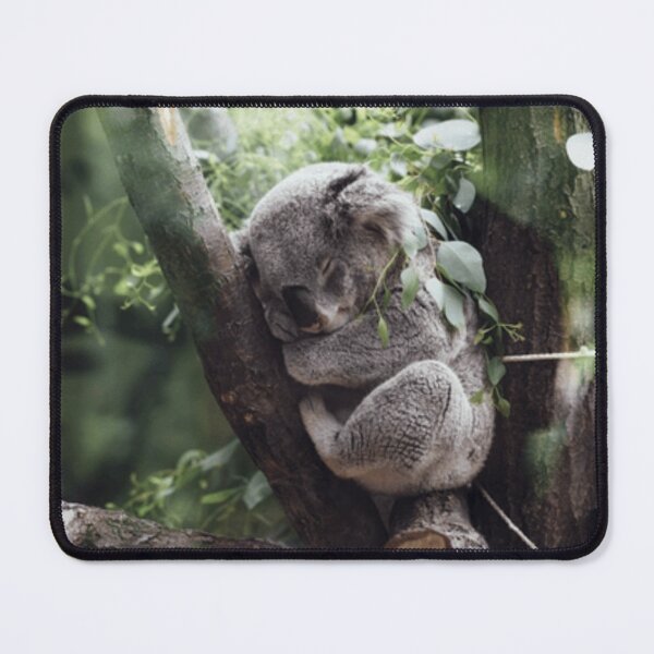 Item preview, Koala Sleeps, Save the Koalas, Wildlife Australia designed and sold by Ivan333Croatia.