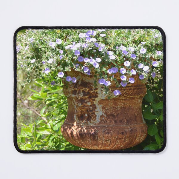 Item preview, Classical Garden designed and sold by Fay Hughes.