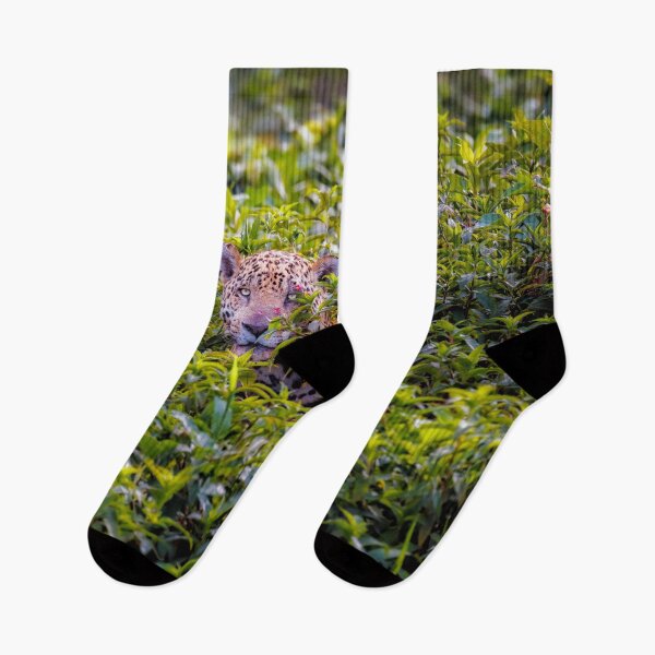 Item preview, Jaguar, Pantanal, Brazil designed and sold by Graham Prentice.