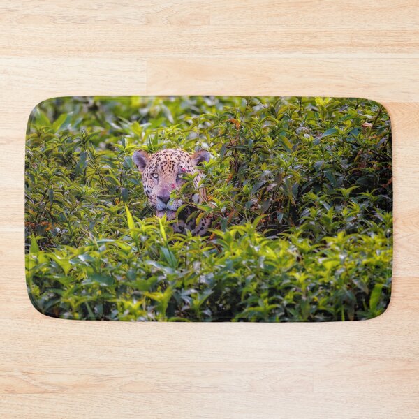 Item preview, Jaguar, Pantanal, Brazil designed and sold by Graham Prentice.