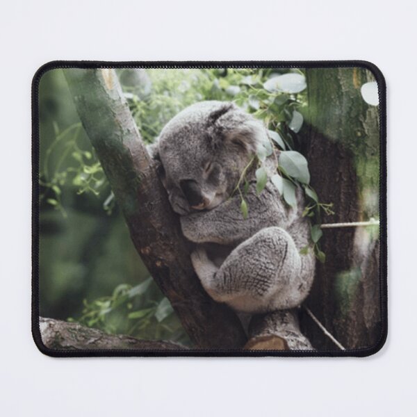 Item preview, Save the Koalas, Sleeping Koala, Australian Wildlife designed and sold by Ivan333Croatia.