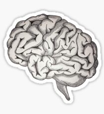 Gray Matter Sticker
