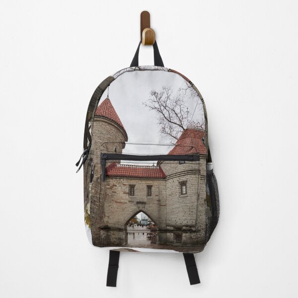 Item preview, The Gate of Viru in the rain designed and sold by Jouko Lehto Photography.