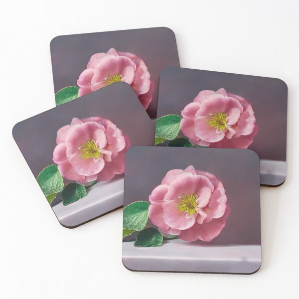 Item preview, Quince tree designed and sold by Bashini.