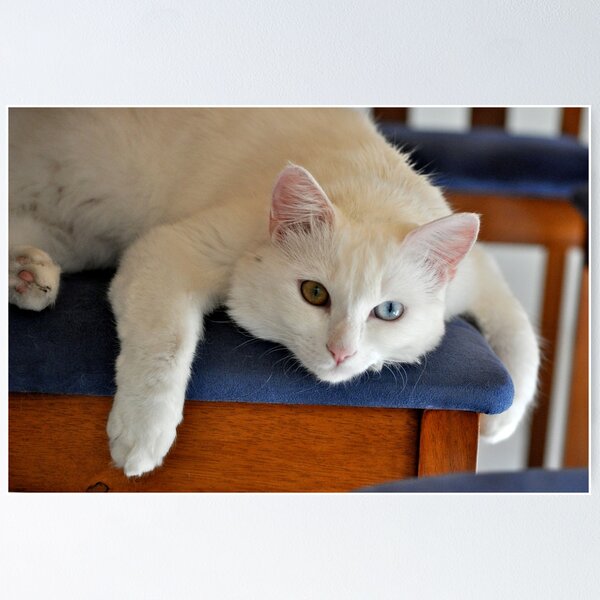 Item preview, Today movement is optional designed and sold by Rainbow Farm Photography.