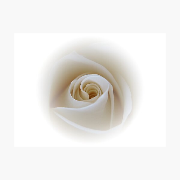 White gem Photographic Print