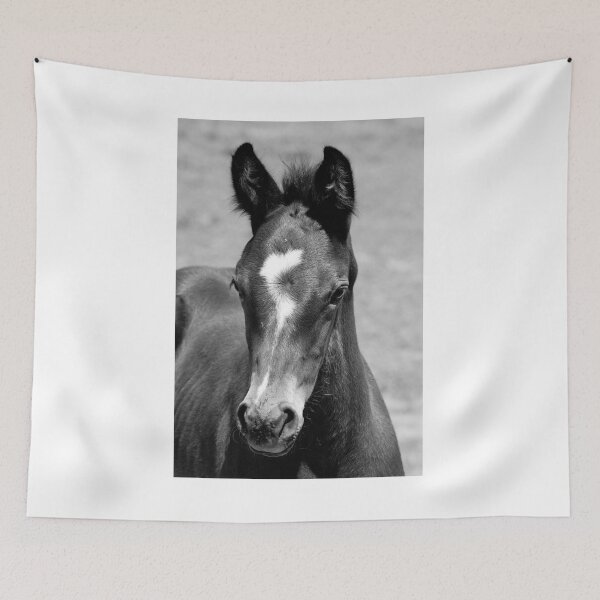 Item preview, Baby Foal or Horse designed and sold by DriveModern.