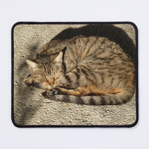 Item preview, Cat in the sun designed and sold by Fay  Hughes.