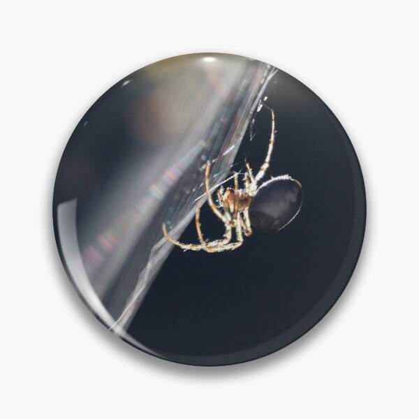 Item preview, Backlit Garden Spider, in profile designed and sold by Imladris01.
