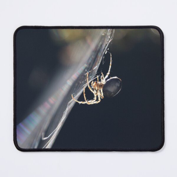 Item preview, Backlit Garden Spider, in profile designed and sold by Imladris01.