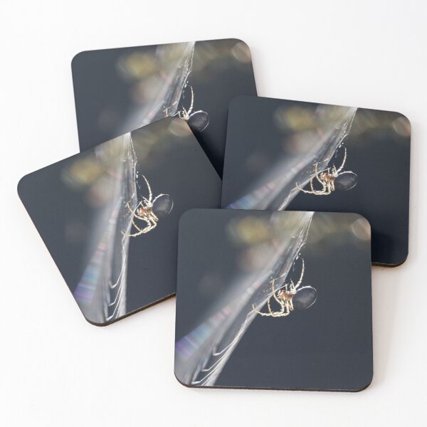 Item preview, Backlit Garden Spider, in profile designed and sold by Imladris01.