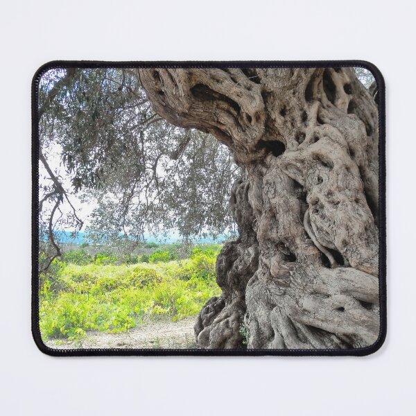Item preview, Thousand Year Old Olive Tree designed and sold by Fay Hughes.