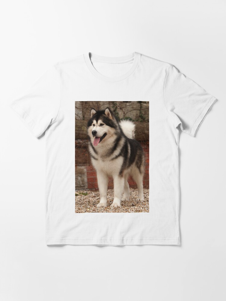 malamute shirt