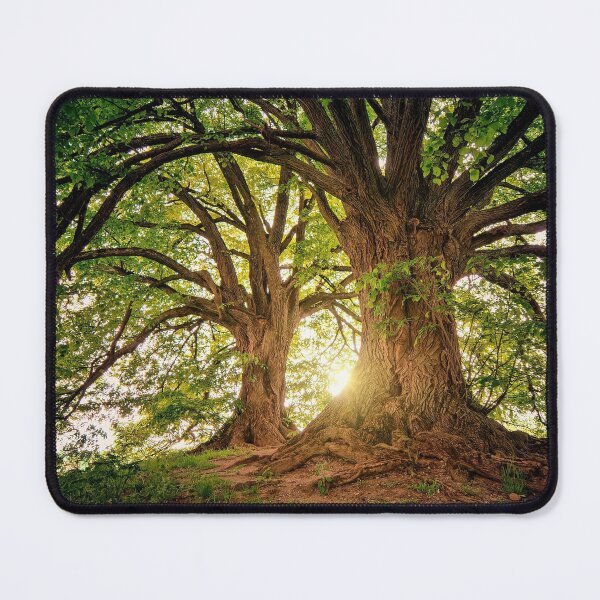 Item preview, Life-Giving Trees designed and sold by DesignAndTales.