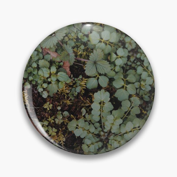 Item preview, Bubbling Green designed and sold by Tessia Photography.