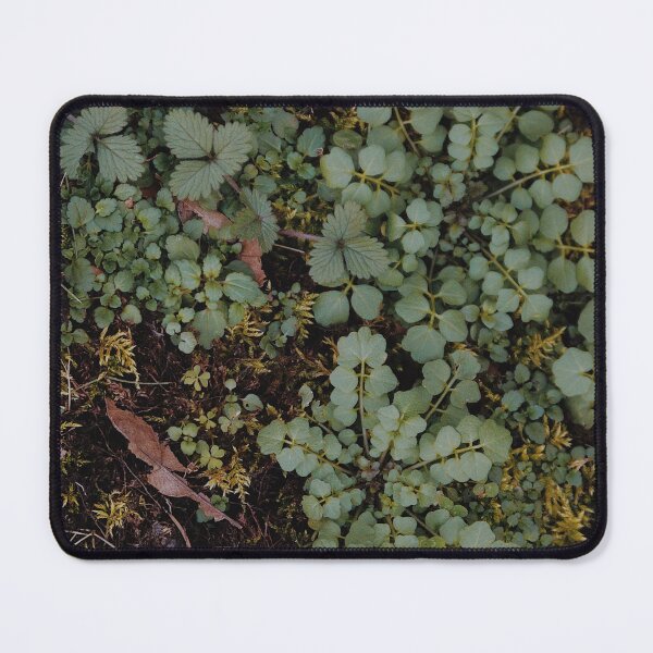 Item preview, Bubbling Green designed and sold by Tessia Photography.